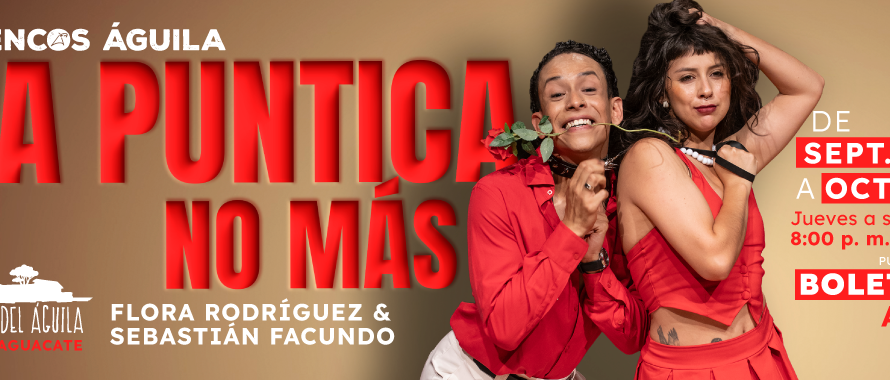 La puntica no más JCL537